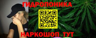 ПСИЛОЦИБИНОВЫЕ ГРИБЫ Вязьма