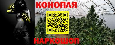 молекула духа Вышний Волочёк
