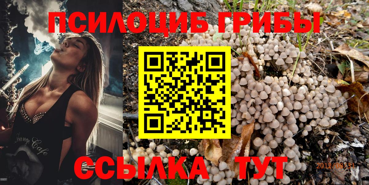 Псилоцибиновые грибы прущие грибы Ессентуки