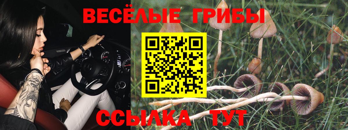 МЕТАМФЕТАМИН Ессентуки