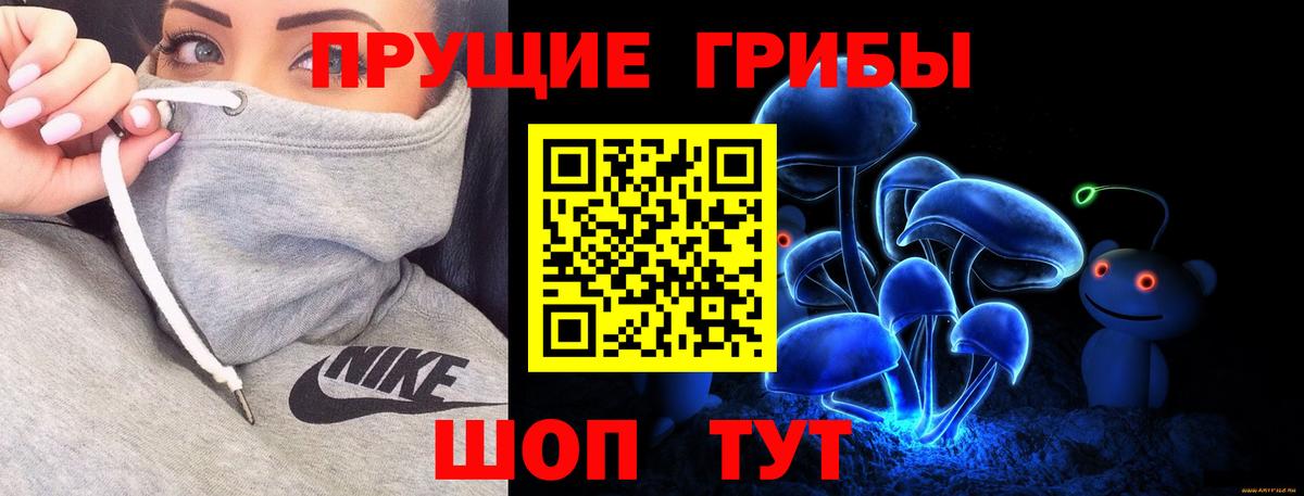 Ессентуки  Галлюциногенные грибы MAGIC MUSHROOMS  Вход с VPN 